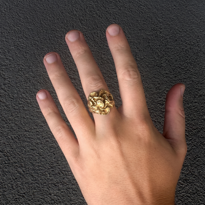 CHAOS RING